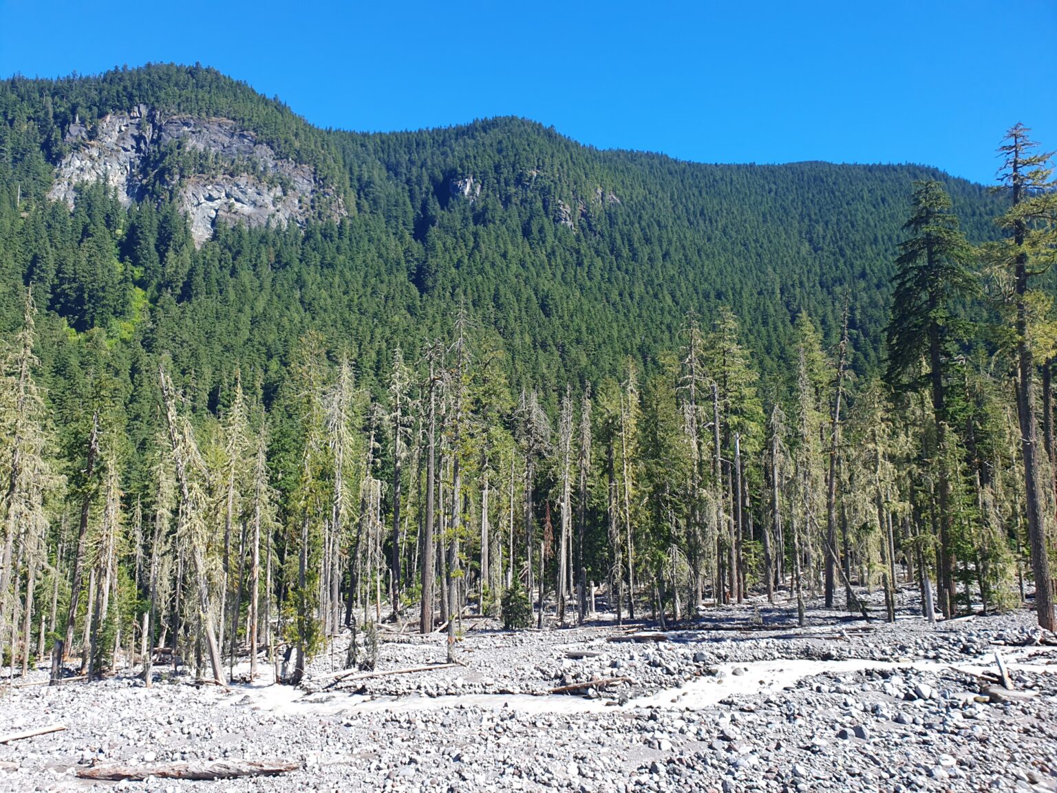 Hiking up the Carbon River Valley