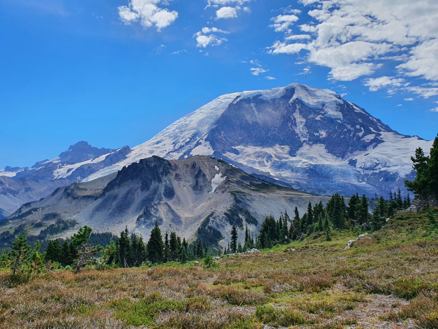 Looking south at Mount Rainier and Elysian Peak just south of the Northern Loop Trail