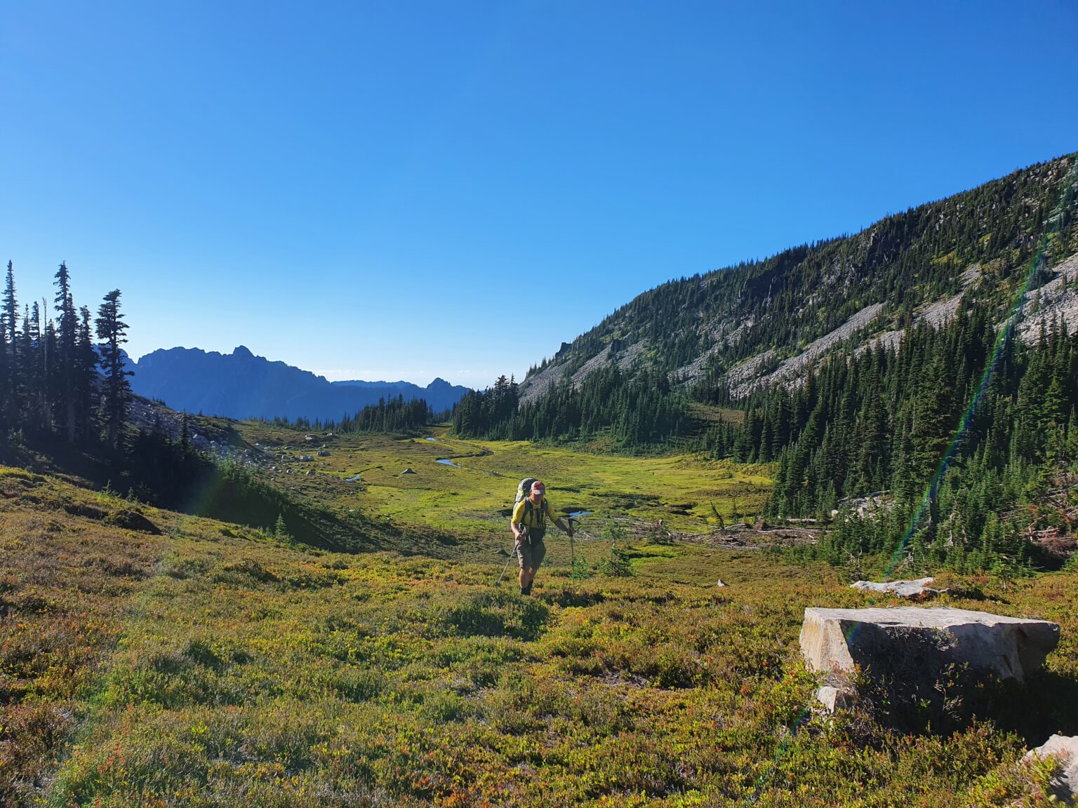 Hiking down into Moraine Park in Mount Rainier National Park