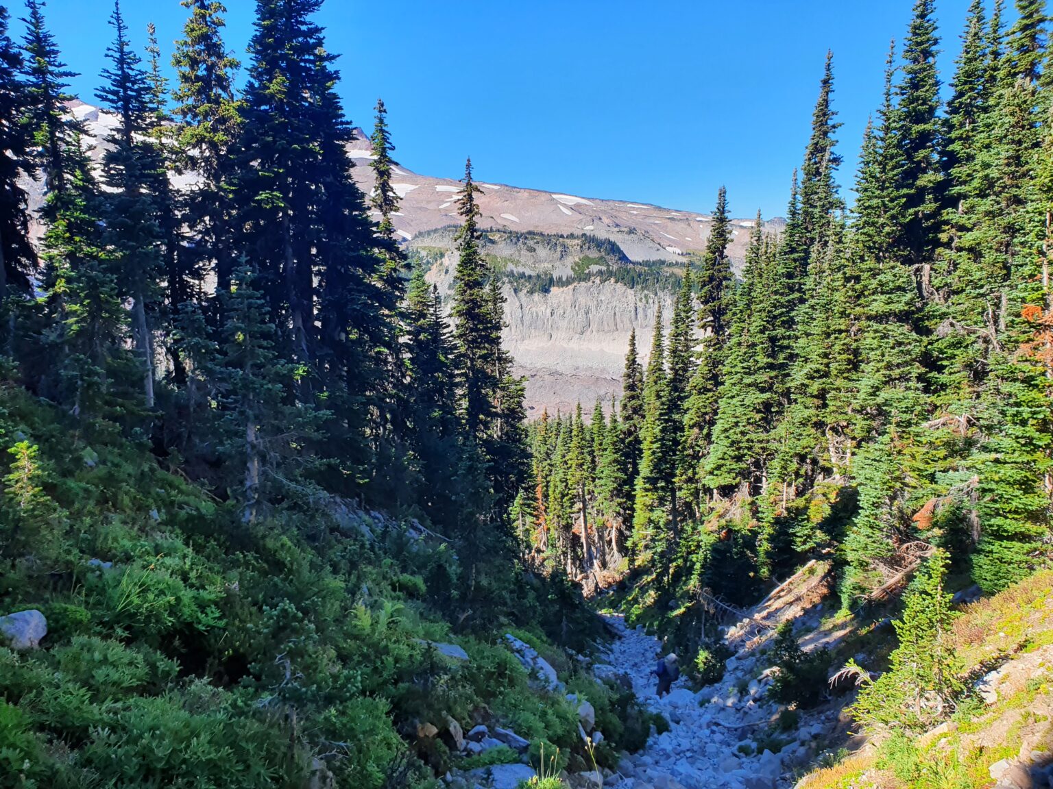 Hiking down from Moraine Park to the Wonderland trail