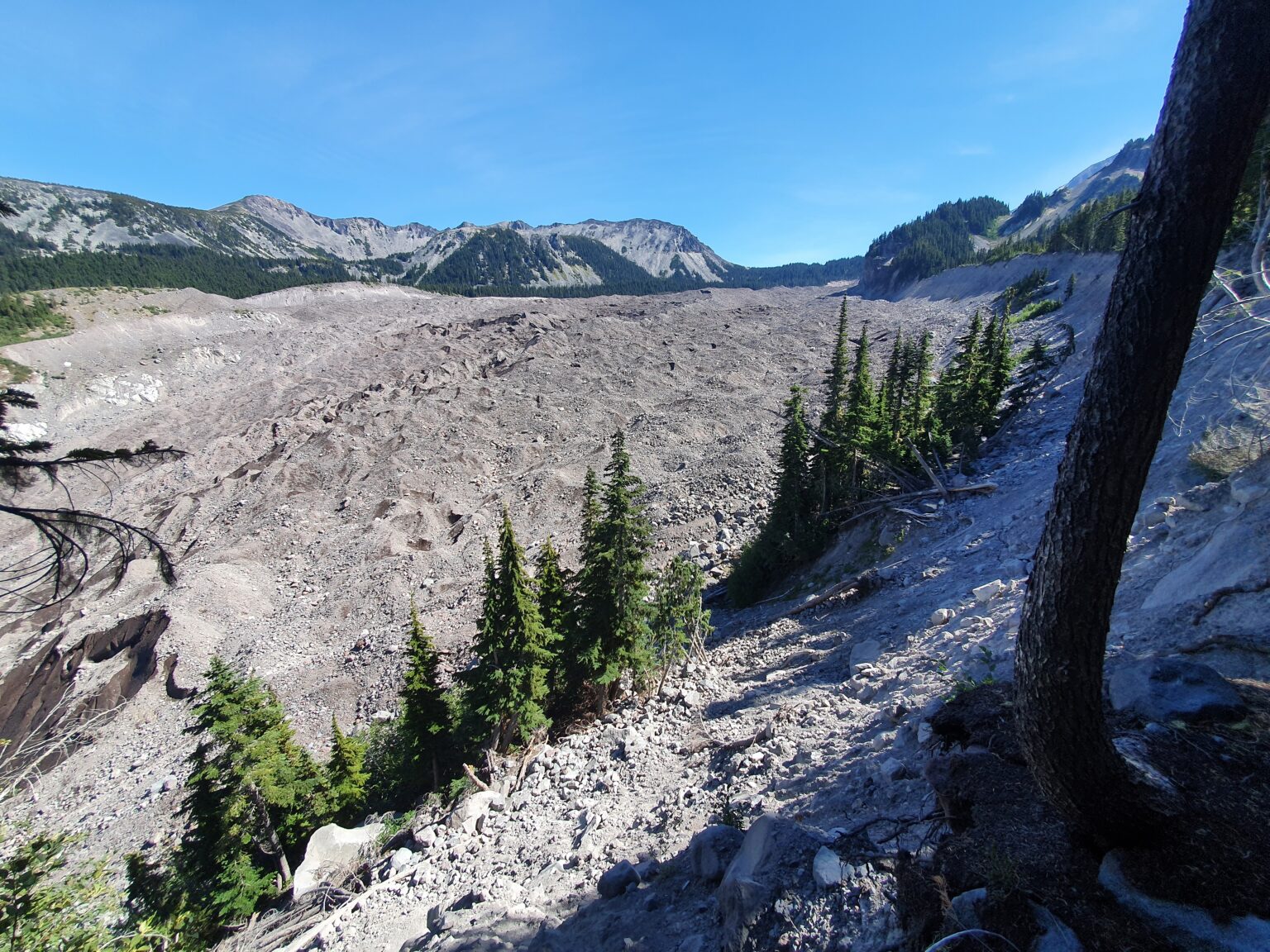 The moraine wall on the west side of the Carbon Glacier