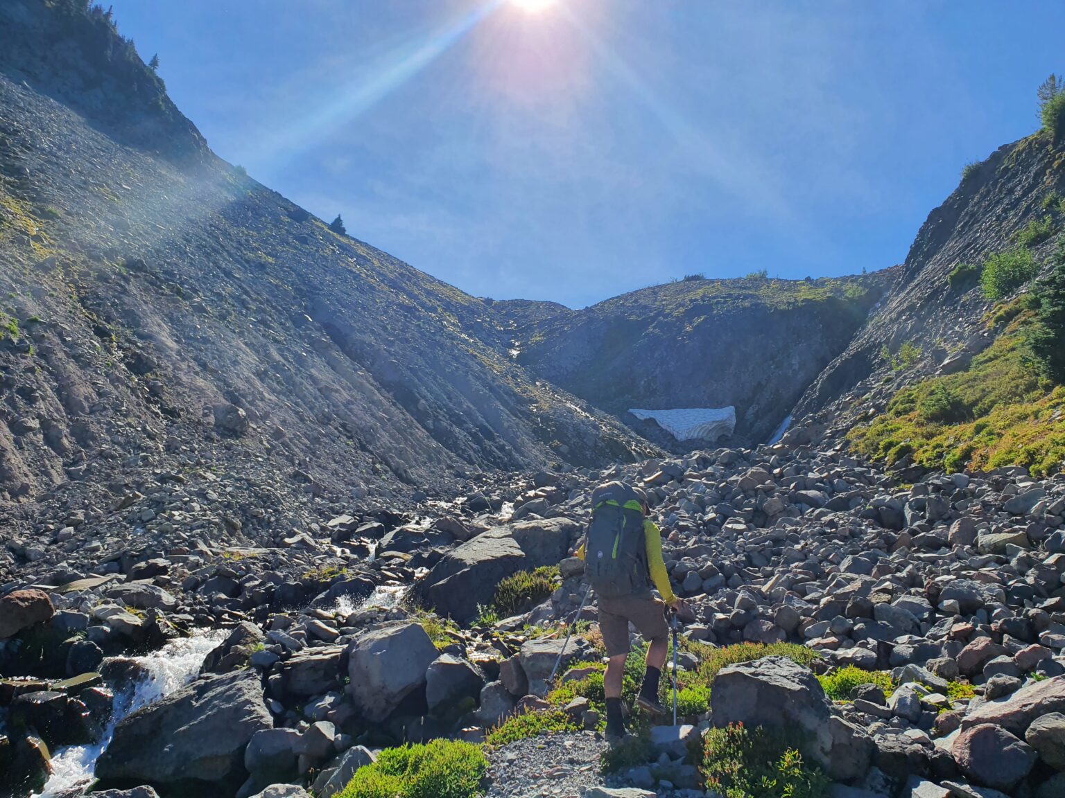 Hiking up into Seattle Park