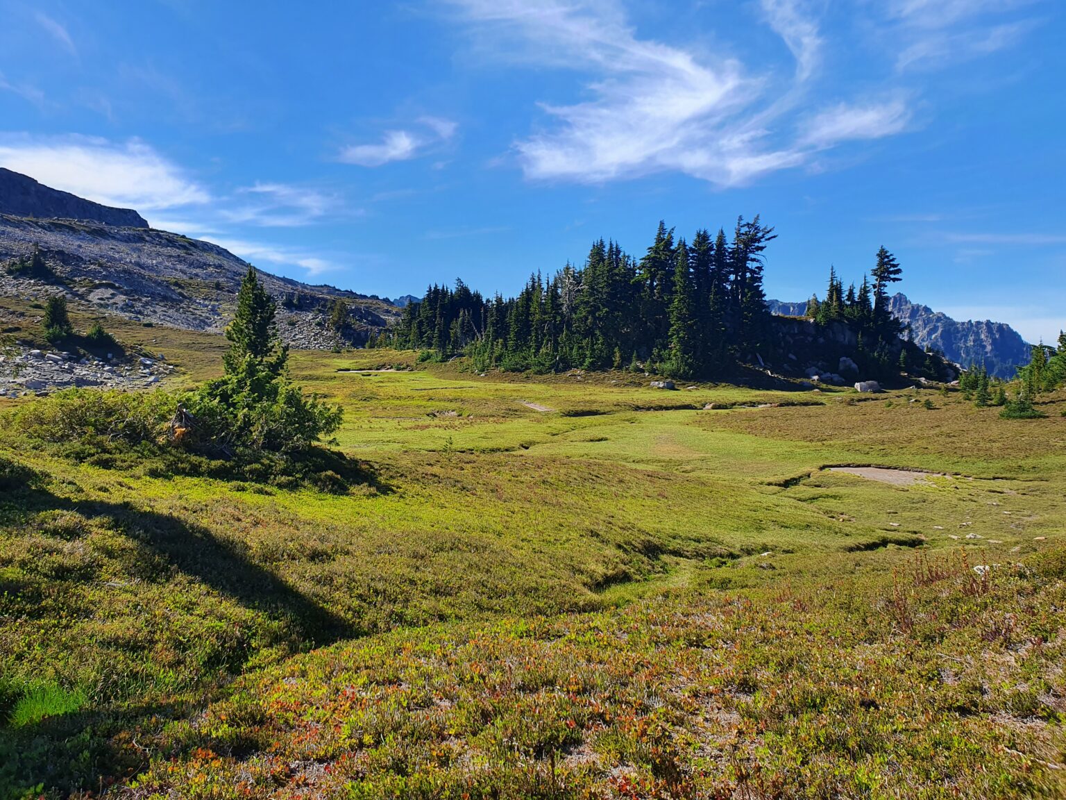 Beautiful open alpine hiking in Seattle Park in Mount Rainier National Park