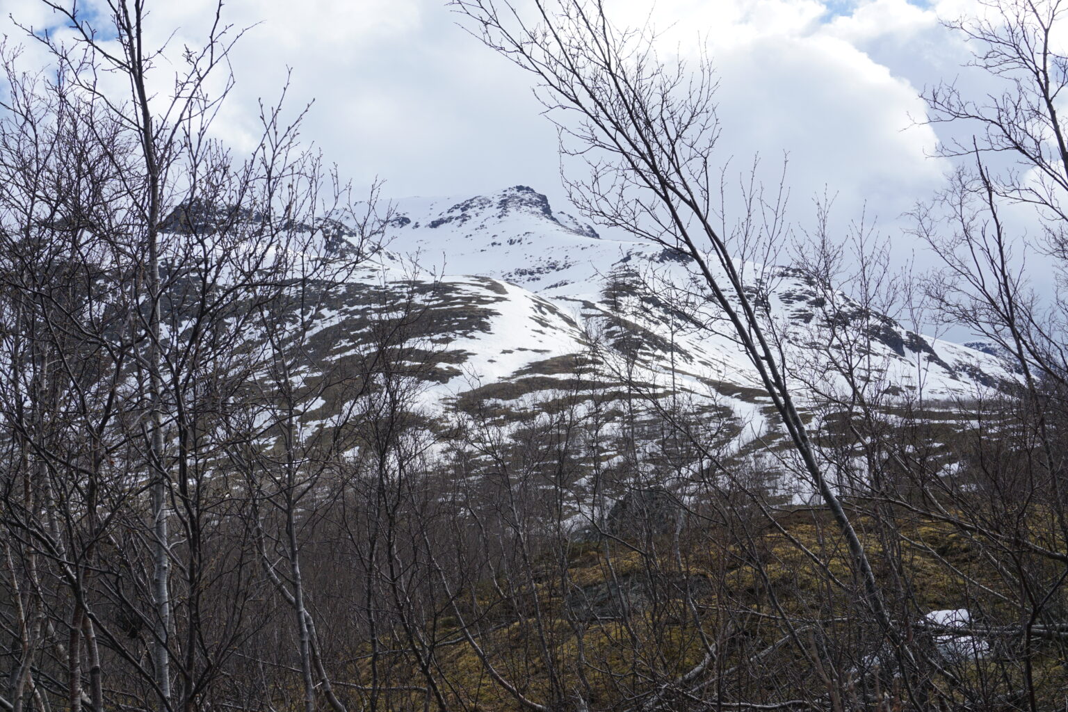 A closer look at Sommarfjellet