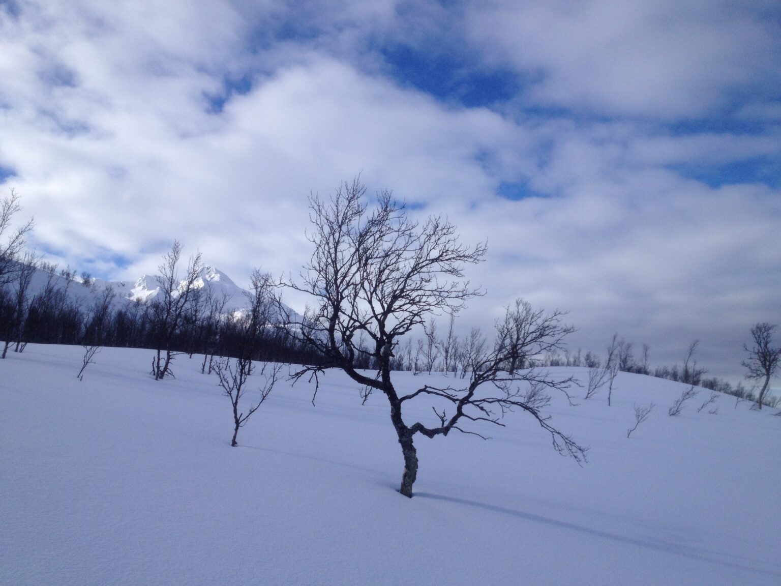 Starting our ski tour up Vardtinden