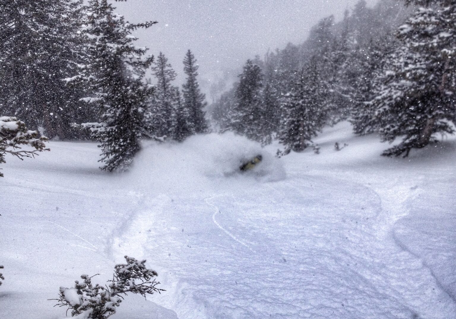 getting barrelled in the deep powder on Argenta West Face in the Wasatch Mountains of Utah