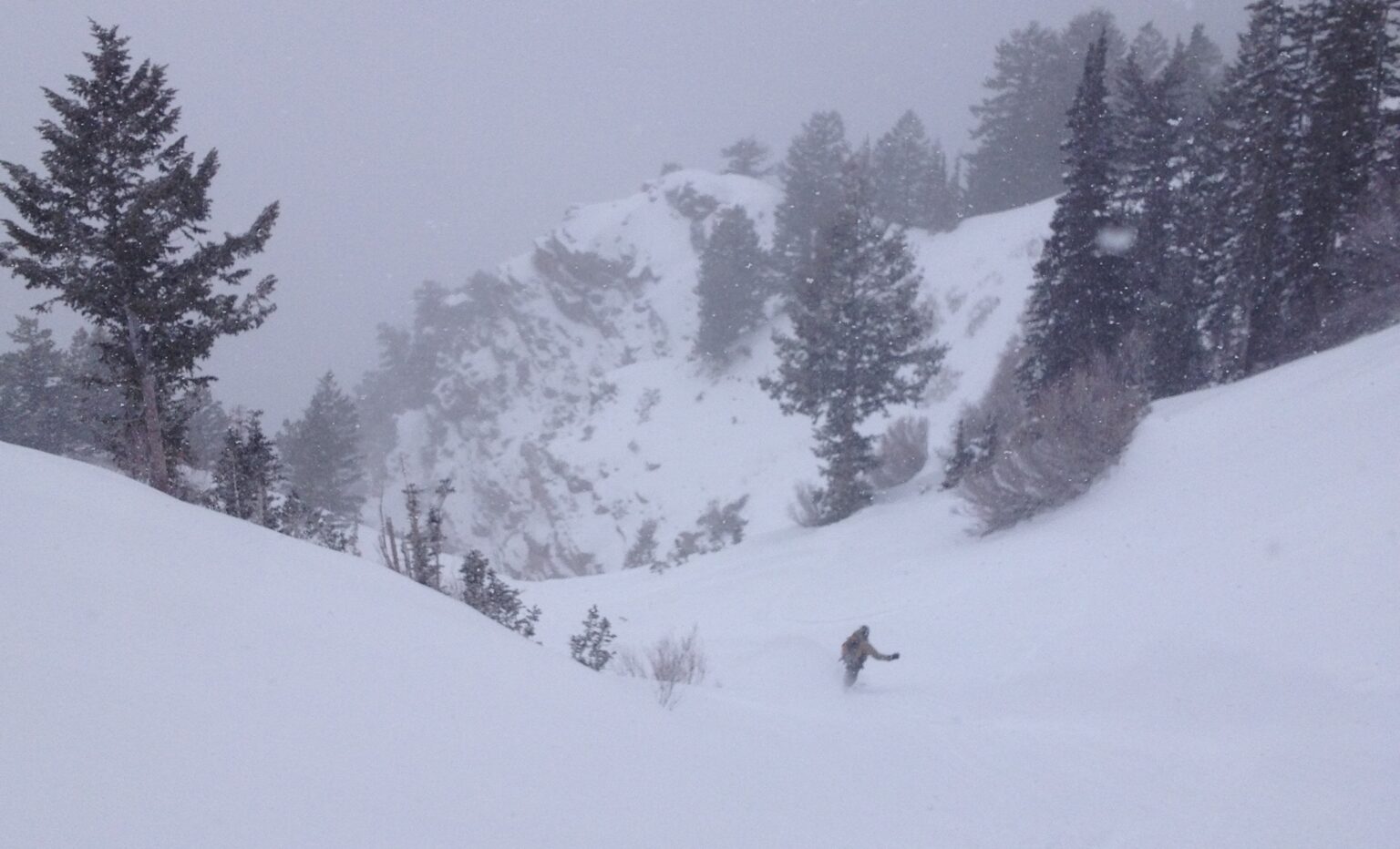 Enjoying wide open slopes