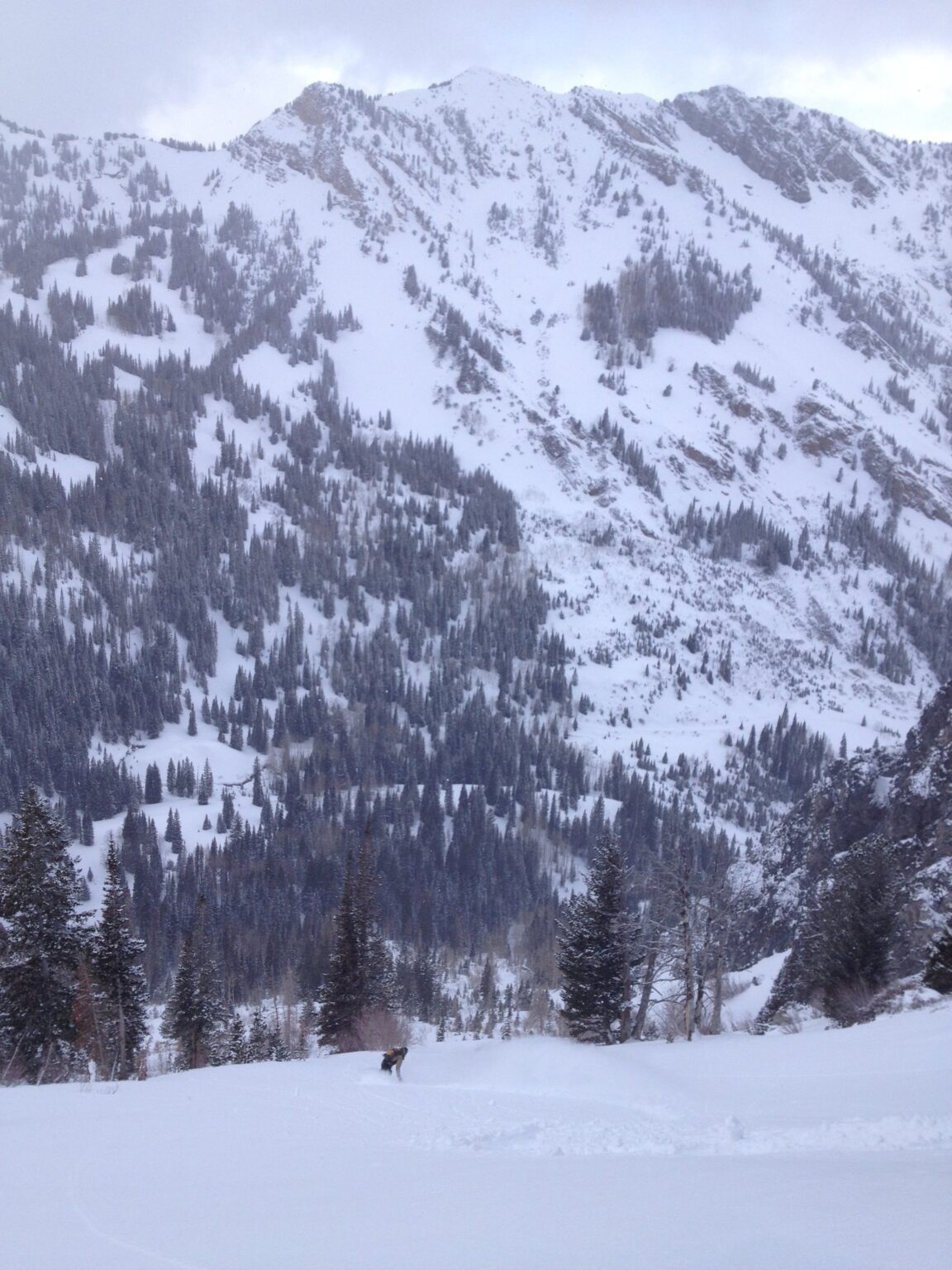 Finding deep powder snow on the lower apron of Benson and Hedges