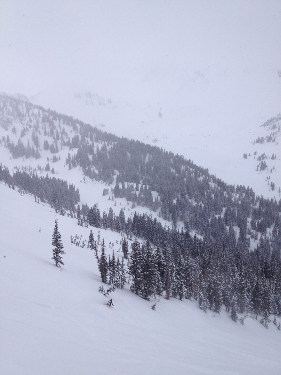 Snowboarding into Cardiff Fork