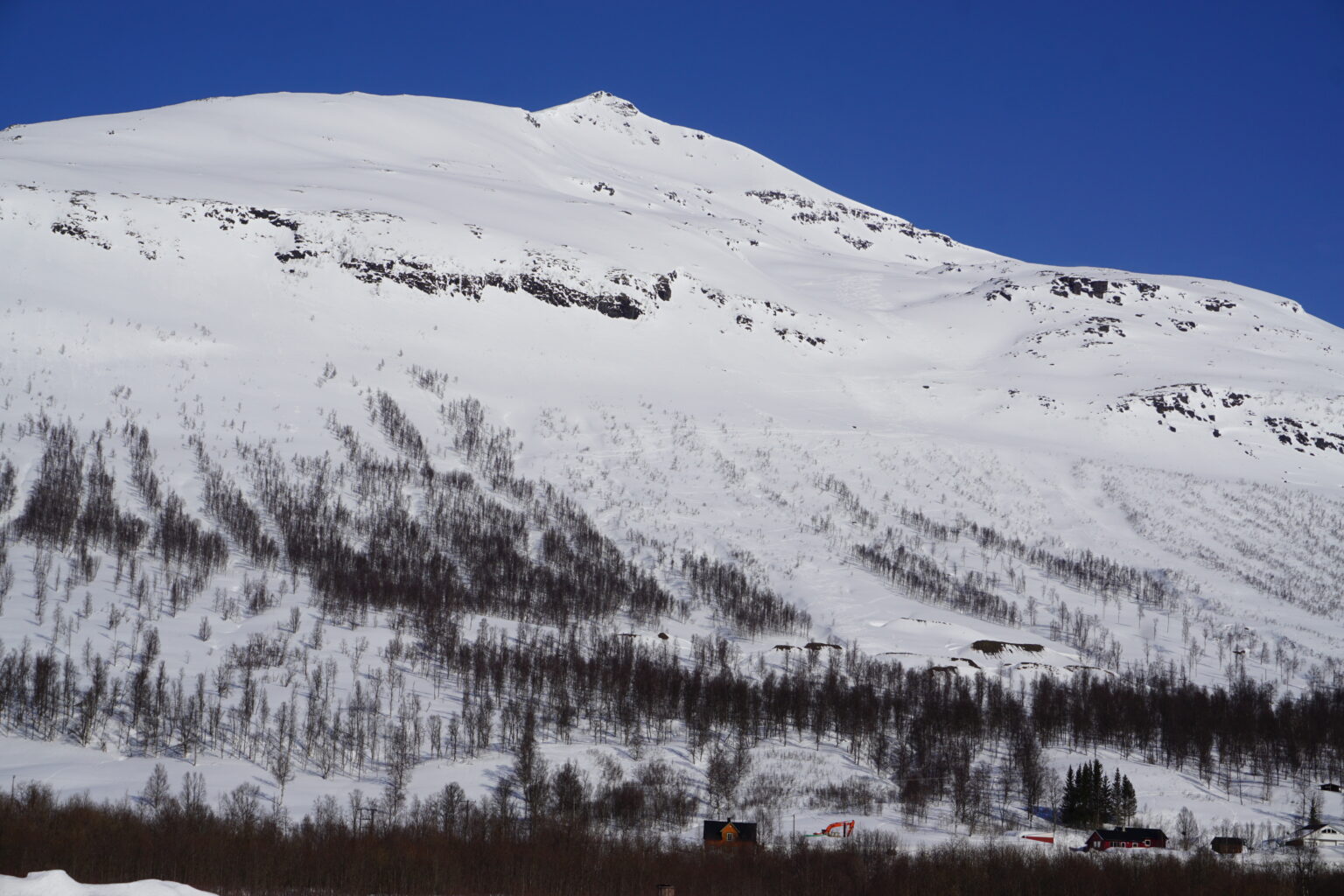 Starting our ski tour from the road