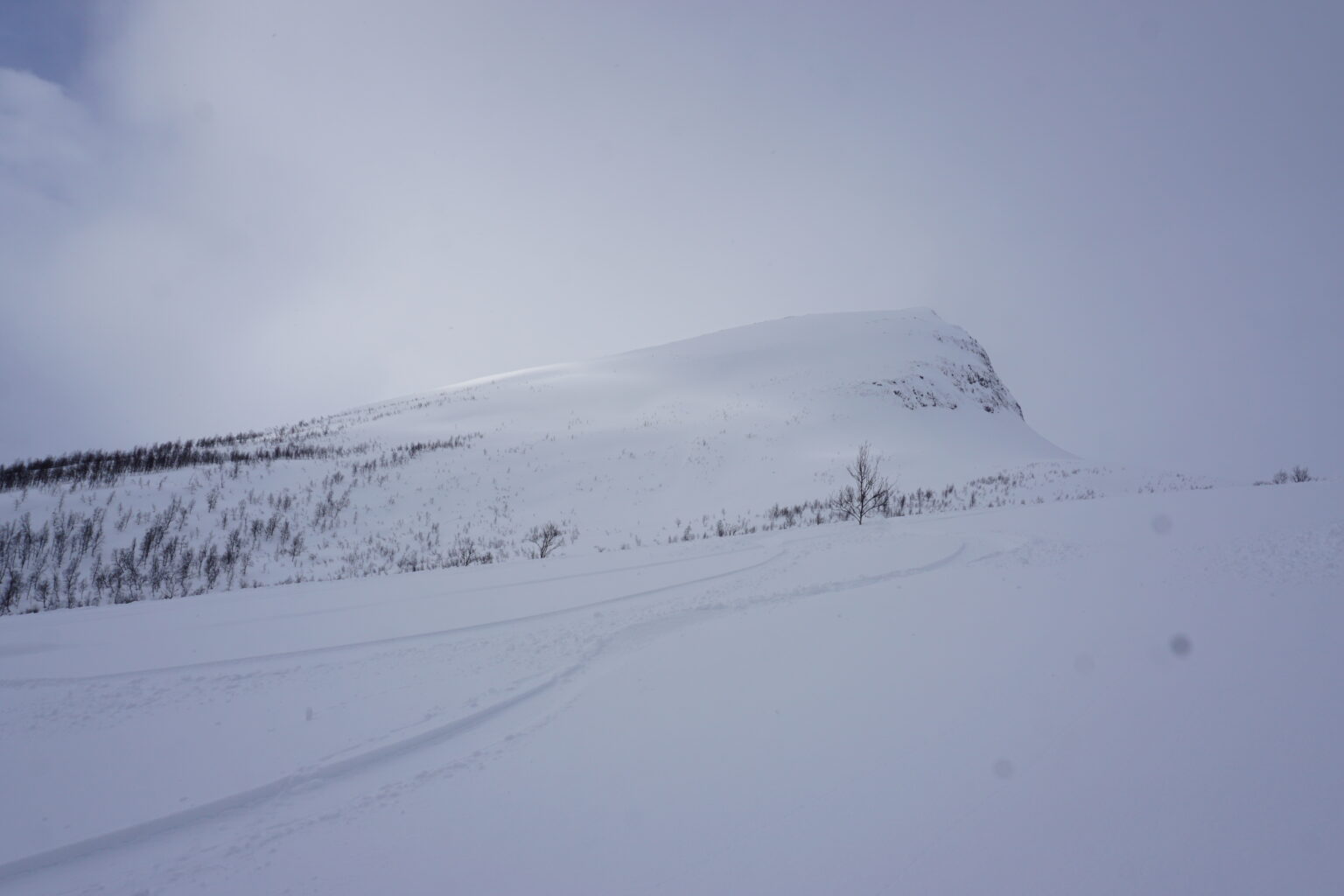 Looking back at our snowboard tracks on Jempehaugen