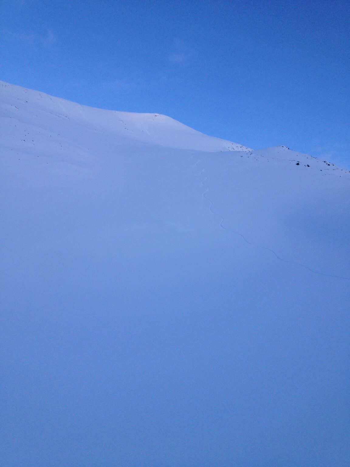 Looking back up at our snowboard tracks off the west face of Rundfjellet