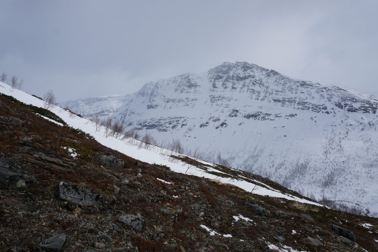 Looking at the ski terrain in the Vasseldalen backcountry