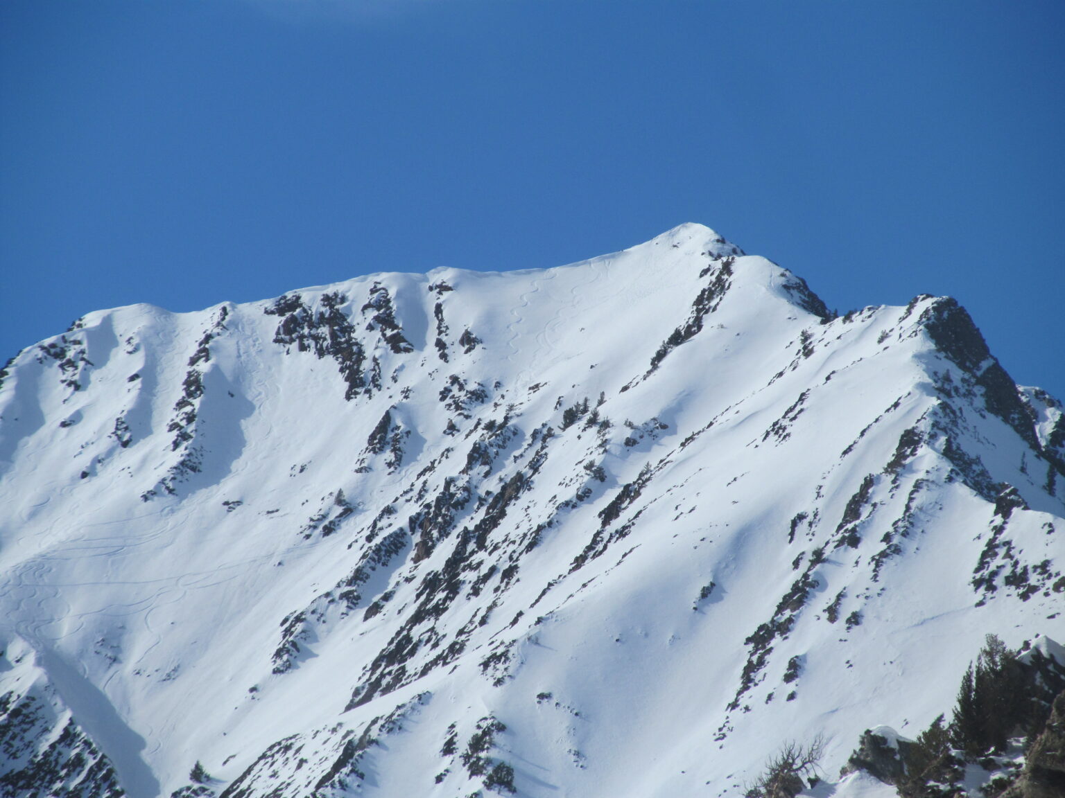 Looking at our snowboard tracks on the South face of Mount Superior