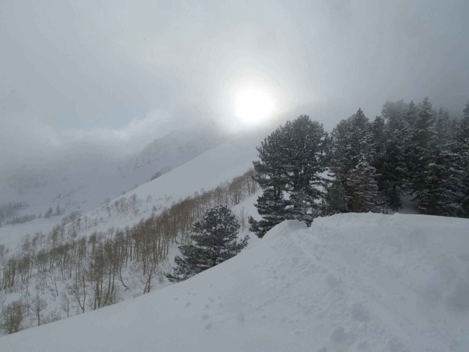 Ski touring up to Bakers Pass