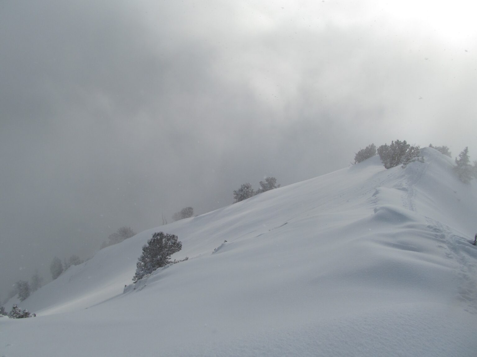 Ski touring the ridge up to Gobblers Knob