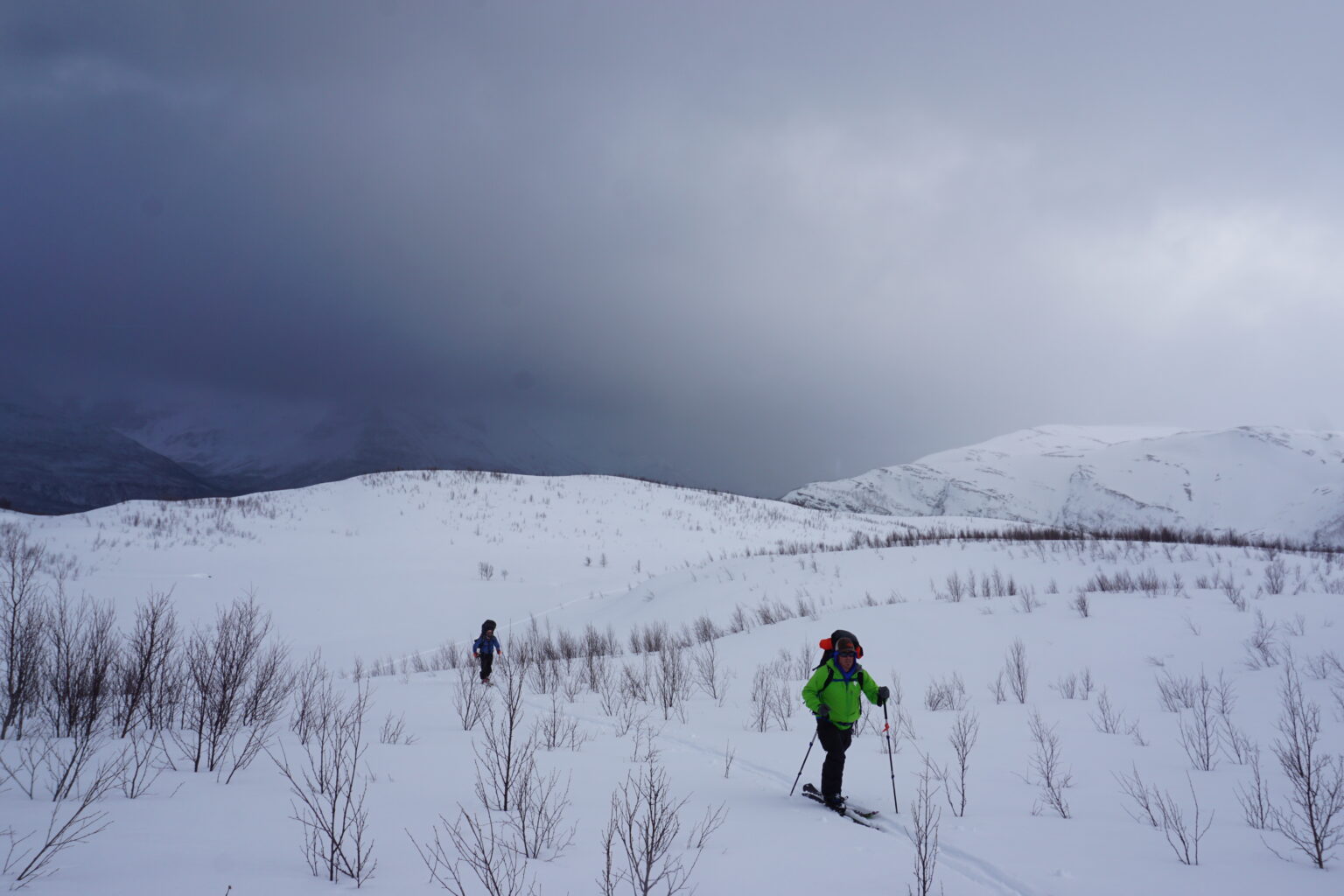 Ski touring through some sparse trees