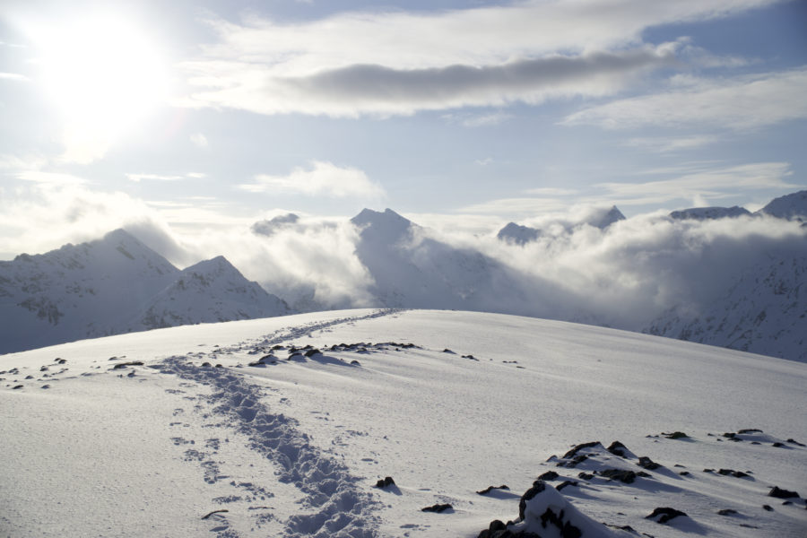 Leaving tracks behind on the summit