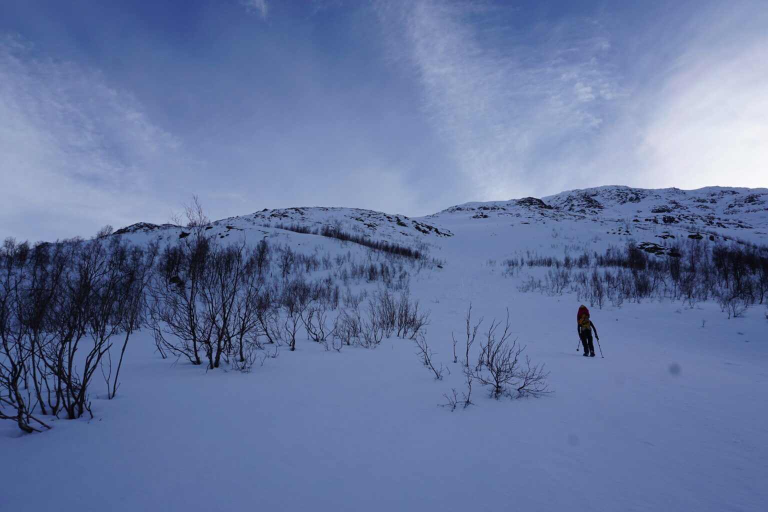 Ski touring to above the trees