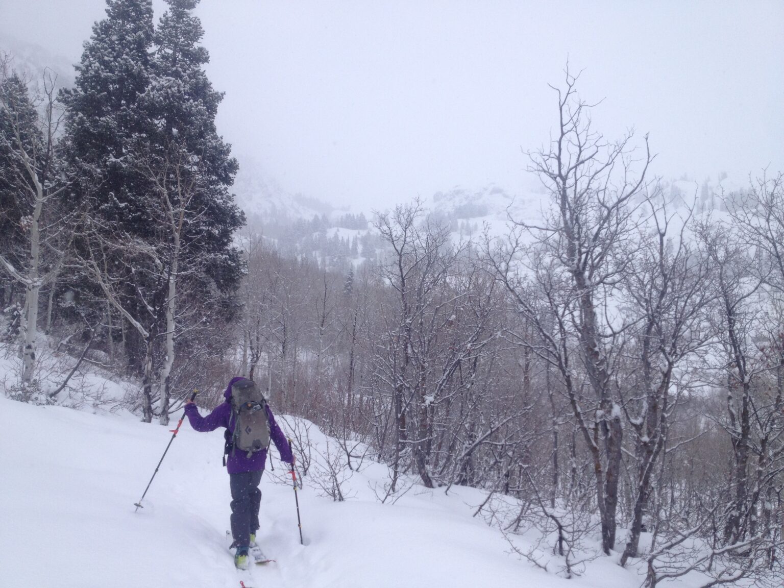 Ski touring up the Blanche Lake Trail in the Wasatch Mountains