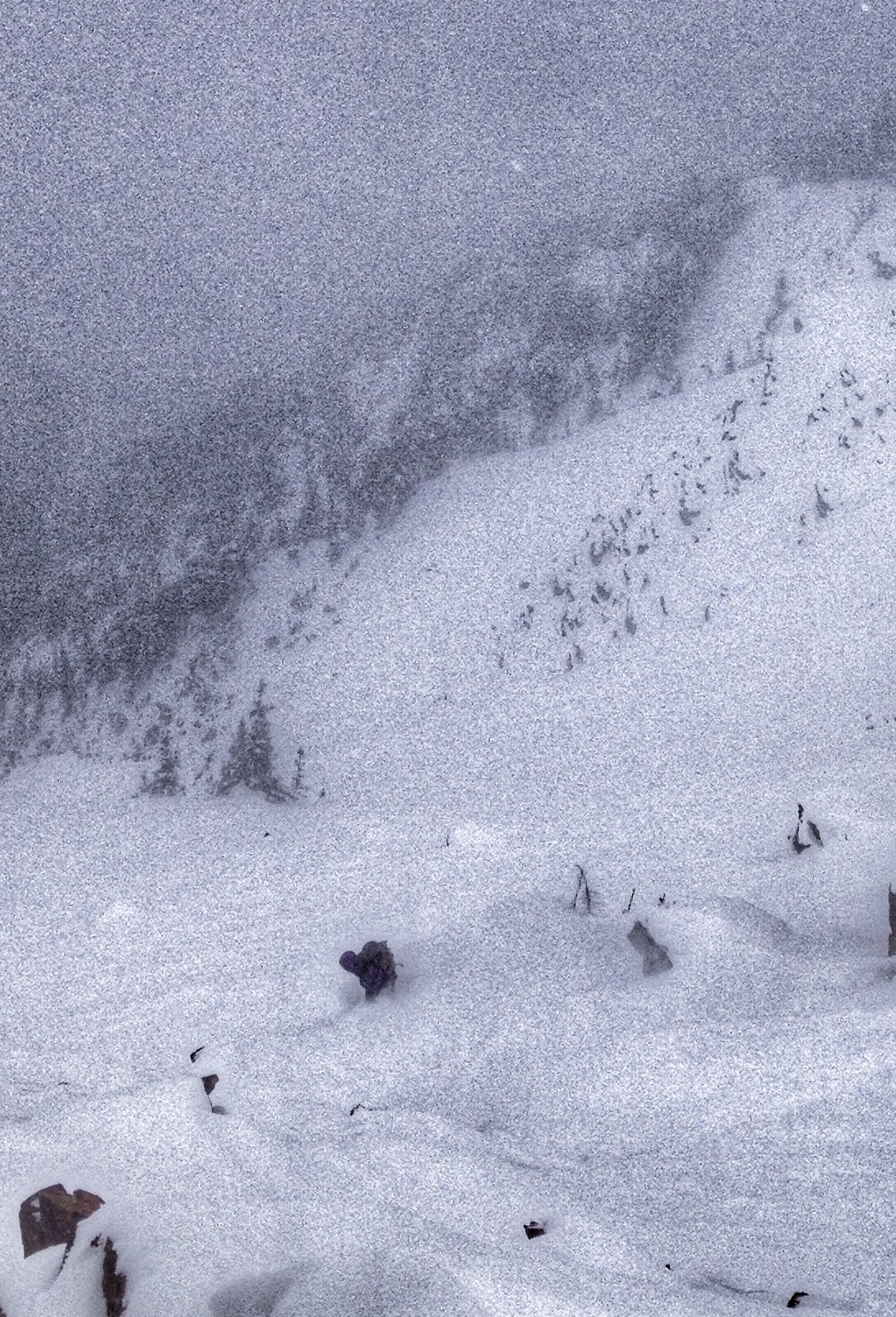 Snowboard White Pine Chute Down to Little Cottonwood Canyon